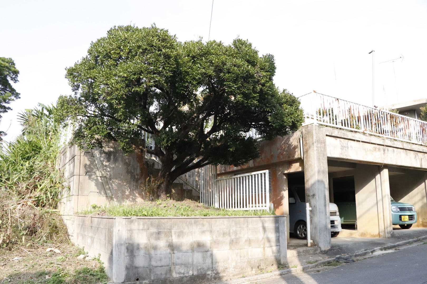 恩納村 希望ヶ丘 売地