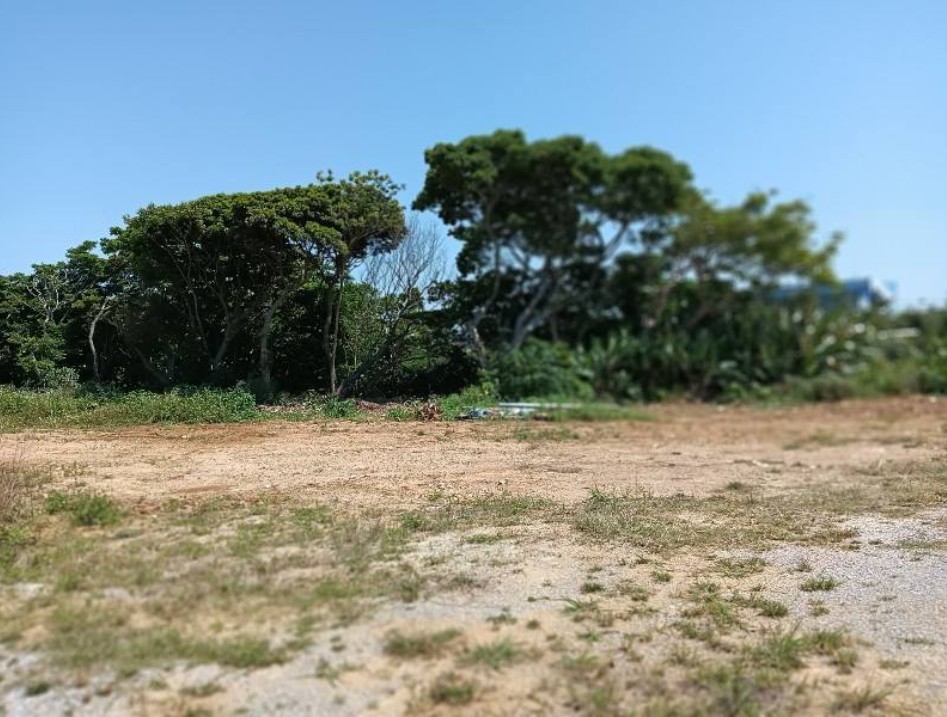 今帰仁村謝名 売地 追加画像