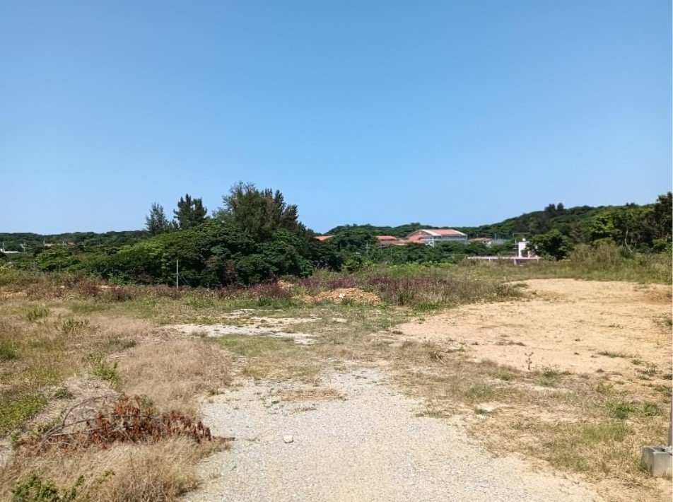 今帰仁村謝名 売地 追加画像