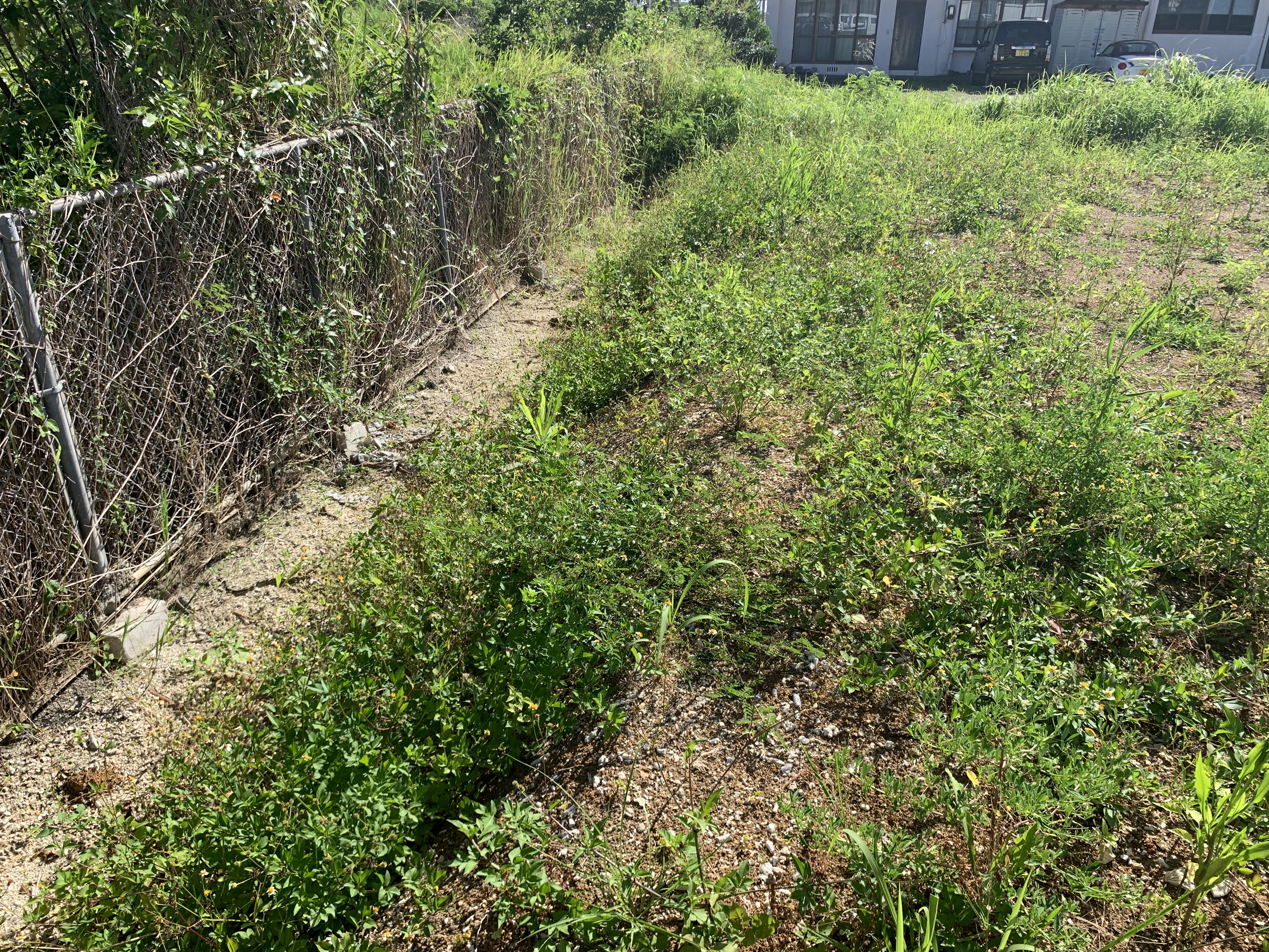 糸満市西崎一丁目　売地 追加画像