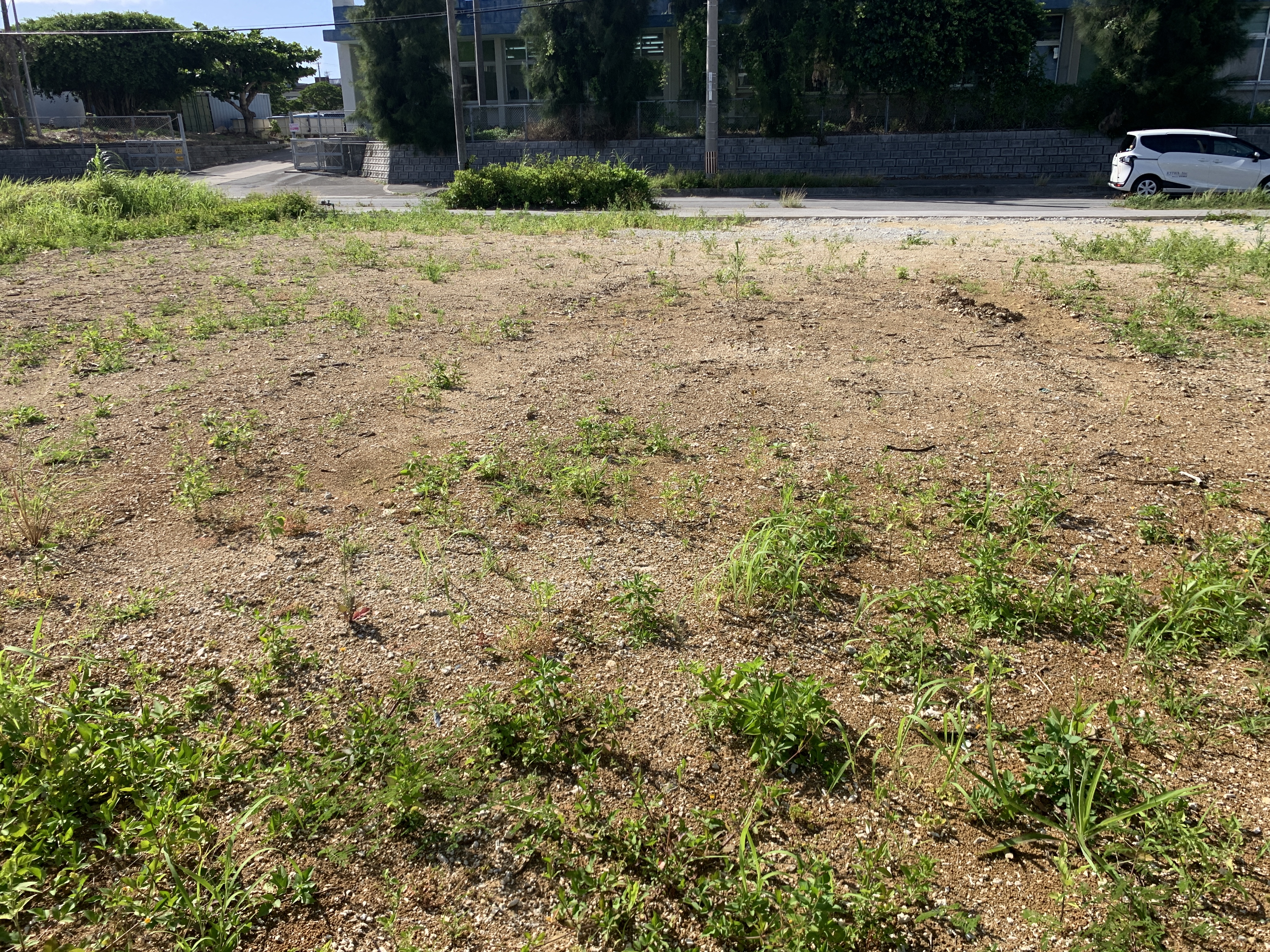 糸満市西崎一丁目　売地 追加画像