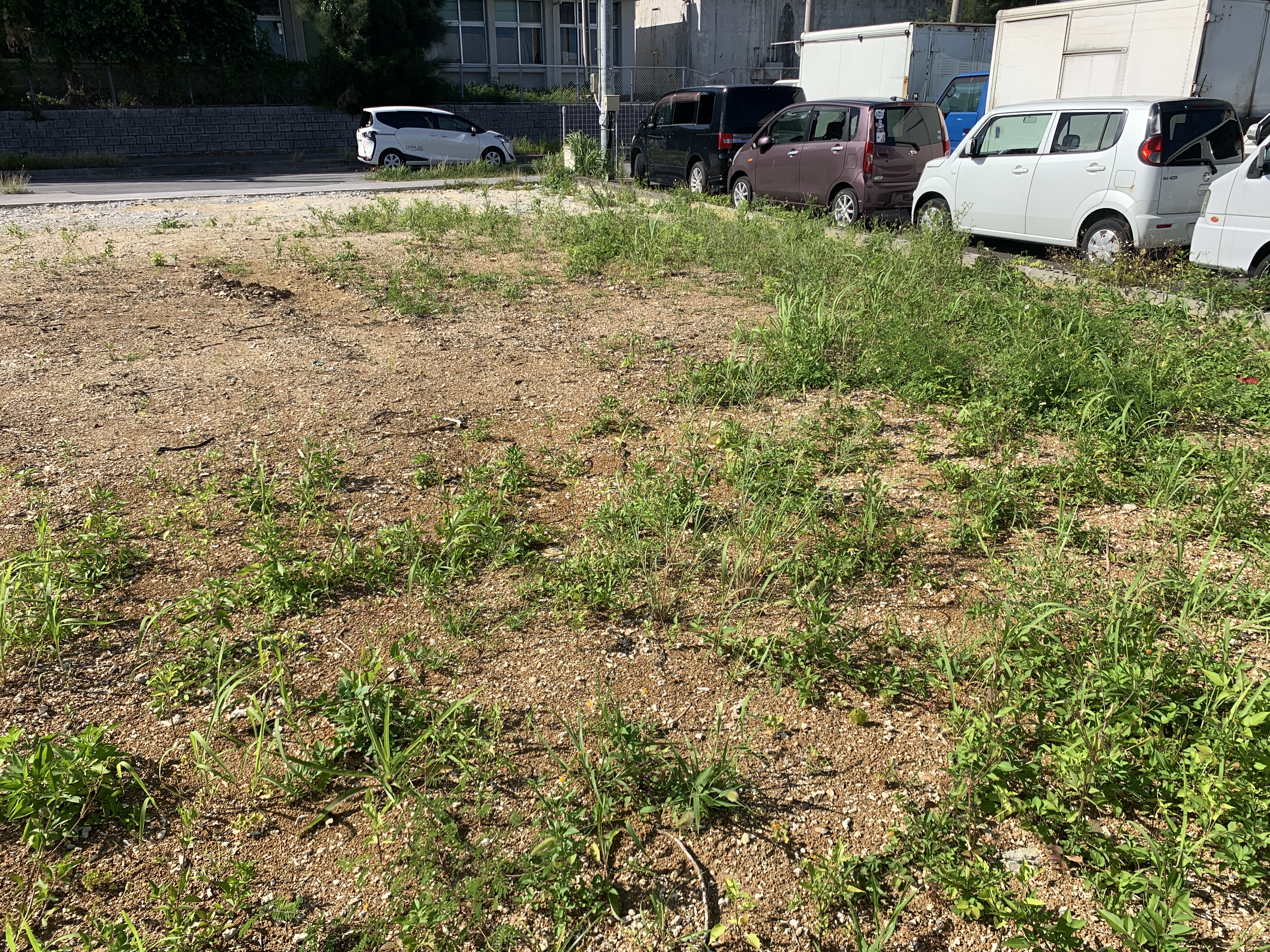 糸満市西崎一丁目　売地 追加画像